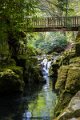Tollymore Forest Park Newcastle Co Down (5)